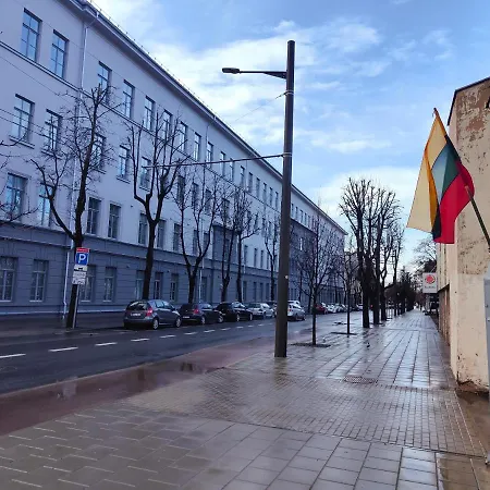 Apartment Owl Jazz - Luxury In The Heart Of The Kaunas
