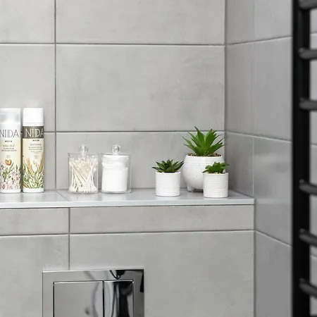 Owl Jazz - Luxury In The Heart Of The *