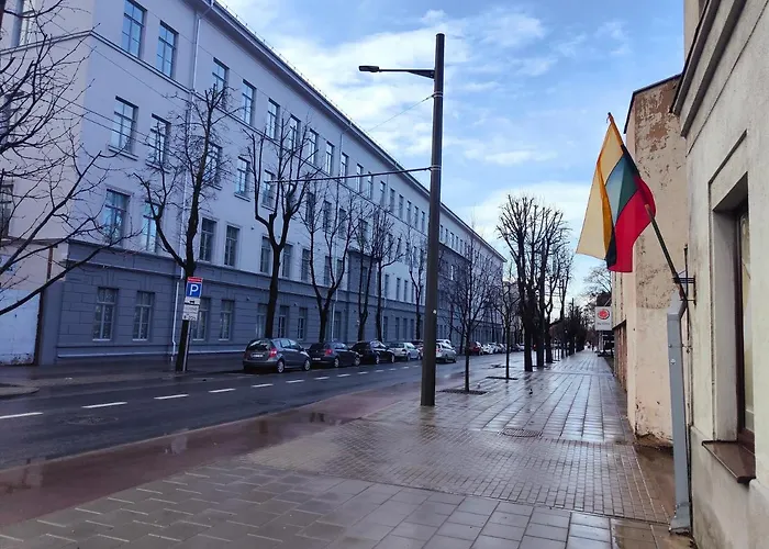 Διαμέρισμα Owl Jazz - Luxury In The Heart Of The Κάουνας