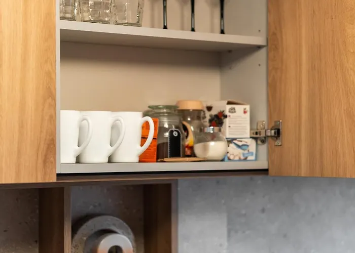 Owl Jazz - Luxury In The Heart Of The