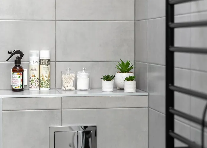 Owl Jazz - Luxury In The Heart Of The *